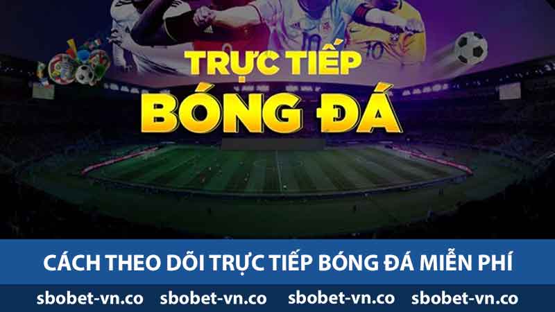 Trực Tiếp Bóng Đá Hôm Nay - Giải Đáp Mọi Thắc Mắc Các Kênh 2 Cách theo dõi trực tiếp bóng đá miễn phí